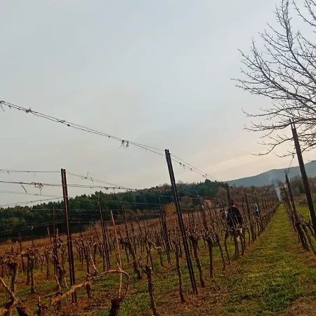 Sobe Soldo Bed and breakfast Međugorje